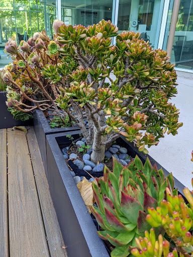Warner Center Marriott Woodland Hills image