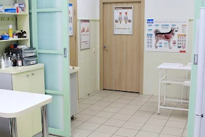 City Veterinary Center image