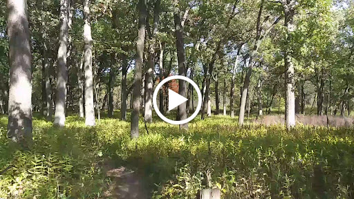 Nature Preserve «Pulaski Woods East», reviews and photos, 9600 Wolf Rd, Willow Springs, IL 60480, USA