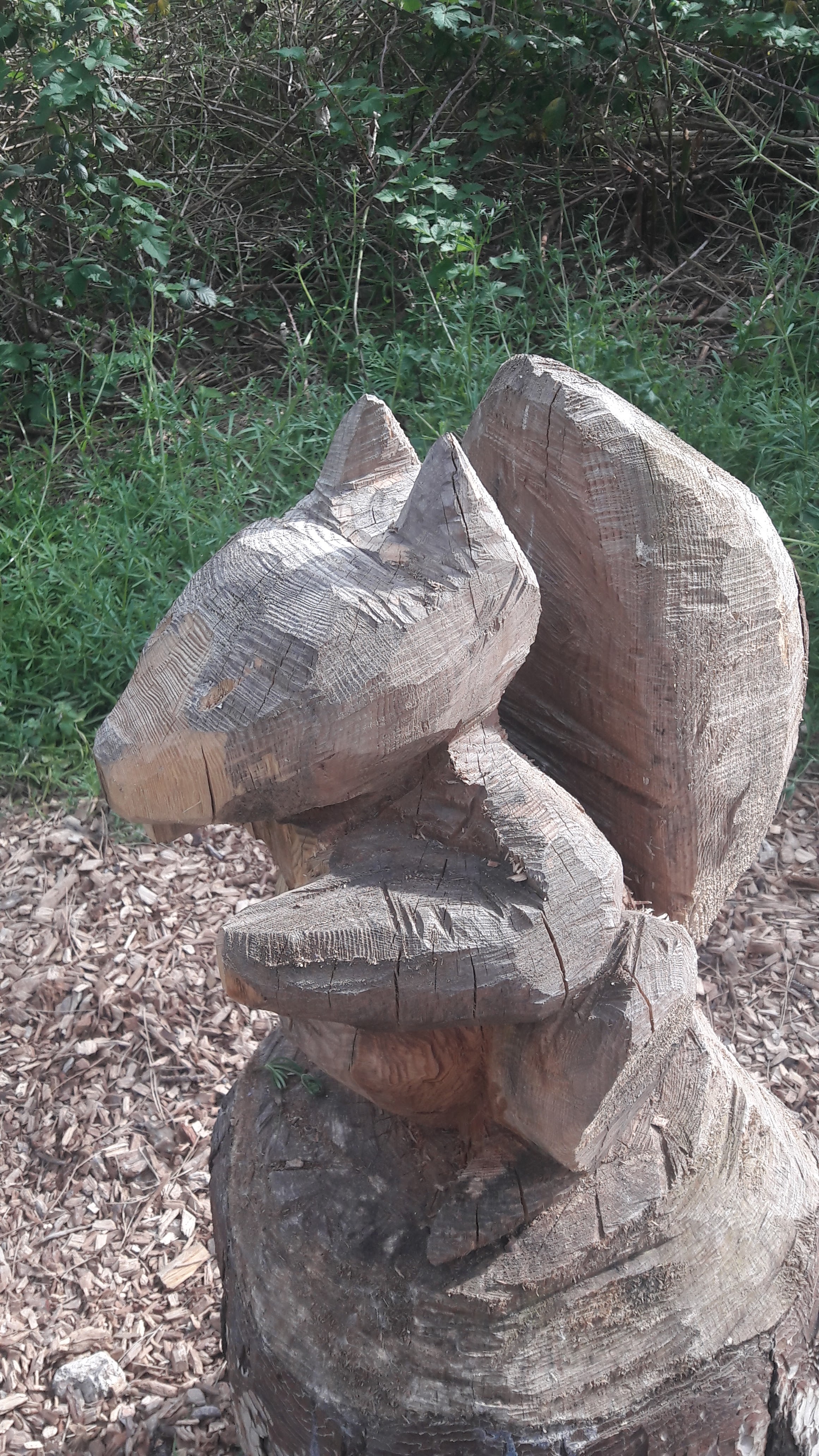Photo n° 8 de l'avis de christine.e fait le 20/05/2019 à 16:43