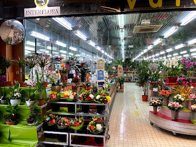 Valdoly Fleurs à Vigneux-sur-Seine