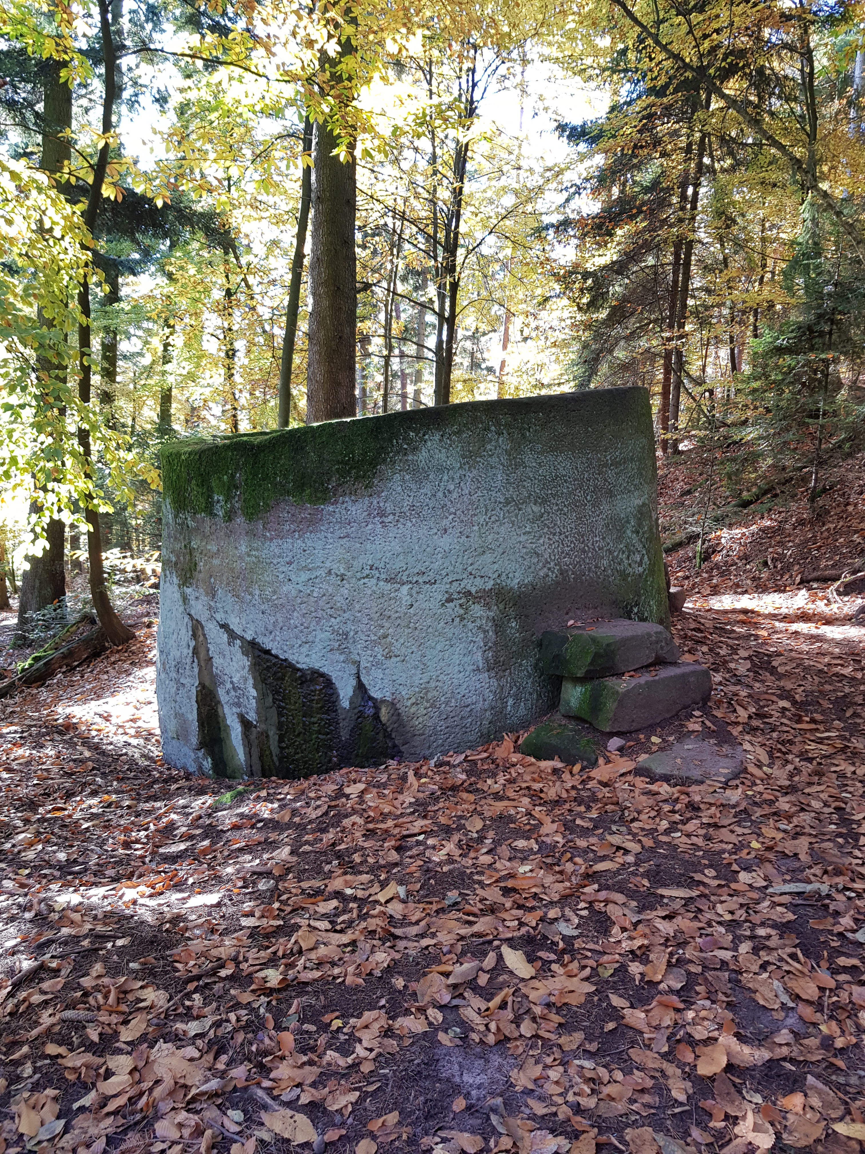 Photo n° 11 de l'avis de Roland.c fait le 09/11/2019 à 18:18