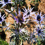 Photo n°2 de l'avis de El-presidente. fait le 13/07/2022 à 07:50 sur le  Forsthaus Heiligenberg, Hotel & Restaurant à Bruchhausen-Vilsen