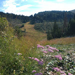 Photo n°9 de l'avis de Domenico.i fait le 30/07/2022 à 05:06 sur le  Rifugio Campomuletto à Gallio