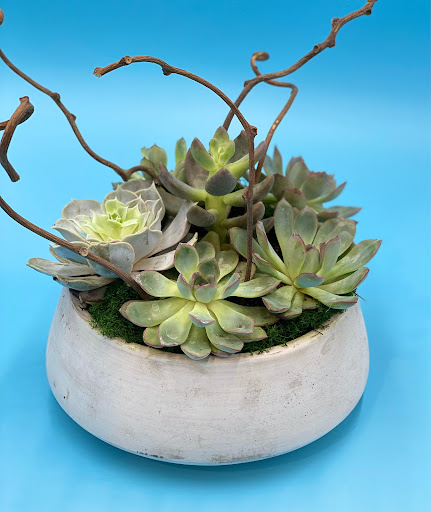 Florist «Magical Blooms», reviews and photos, 1417 S Pacific Coast Hwy, Redondo Beach, CA 90277, USA