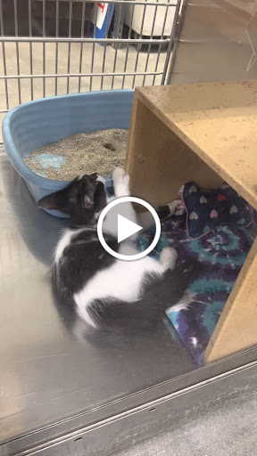 Pet Supply Store «PetSmart», reviews and photos, 67 Consumer Square, Plattsburgh, NY 12901, USA