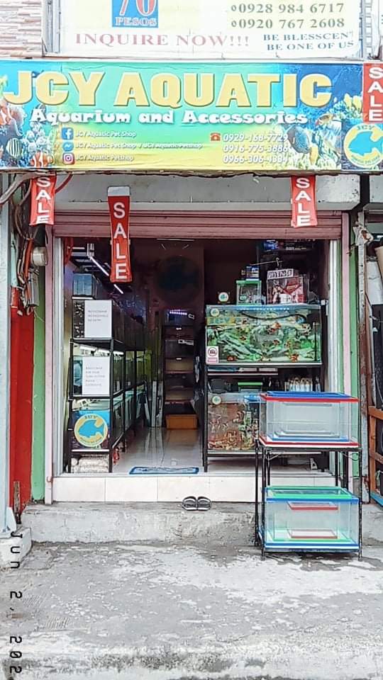 JCY AQUATIC PETSHOP BALIBAGO STA ROSA