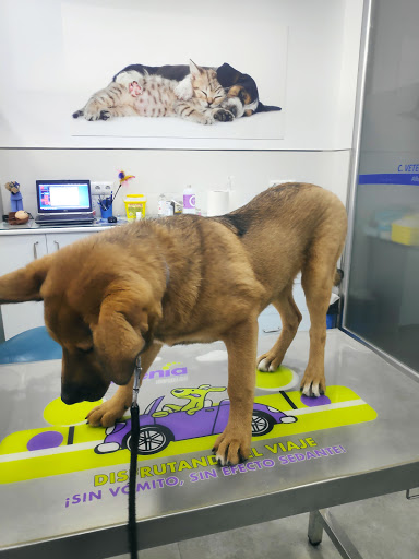 Alhaurín Clínica Veterinaria en Alhaurín de la Torre
