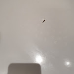 Photo n°1 de l'avis de Lorenzo.r fait le 24/04/2024 à 20:33 sur le  CAMPANILE MÜNCHEN SENDLING à Munich