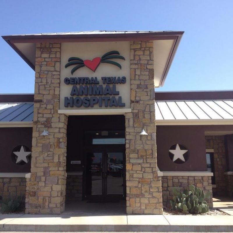 Central Texas Animal Hospital