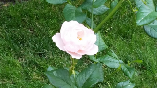 Art Museum «The Cloisters», reviews and photos, 99 Margaret Corbin Dr, New York, NY 10040, USA