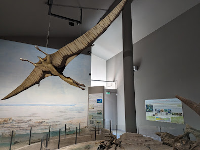 Museo Paleontologico Via Roma, 63, 84050 Magliano Vetere SA, Italia