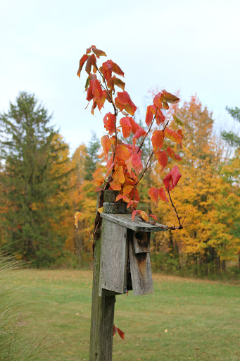 Winery «Six Mile Creek Vineyard», reviews and photos, 1551 Slaterville Rd, Ithaca, NY 14850, USA