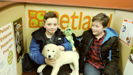 Pet Store «Petland», reviews and photos, 920 Hebron Rd, Heath, OH 43056, USA