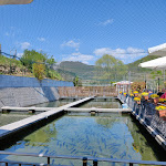 Photo n°4 de l'avis de Franco.e fait le 19/04/2022 à 10:43 sur le  Alla Trota del Cornappo à Nimis