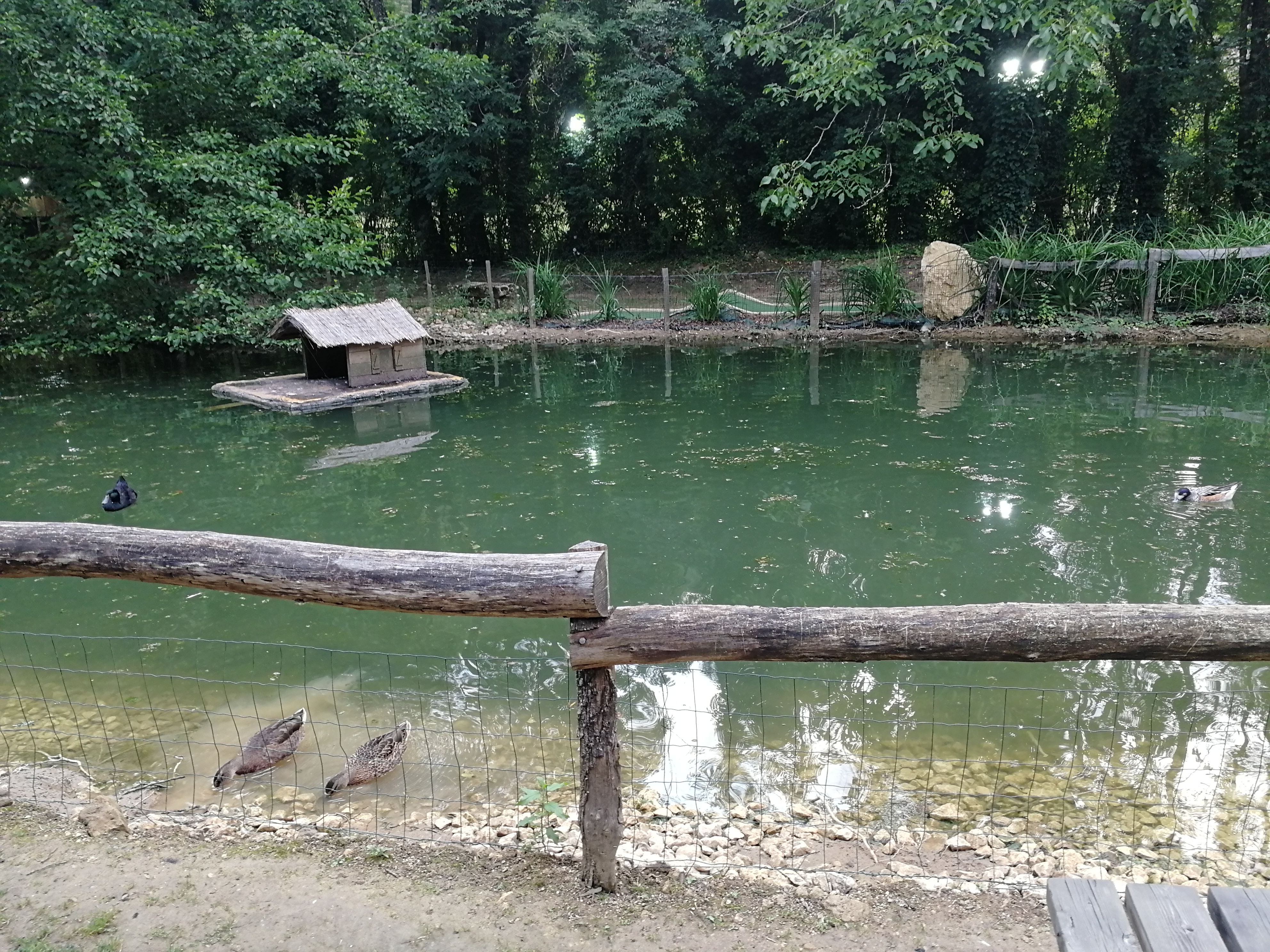 Photo n° 5 de l'avis de MM.u fait le 24/08/2021 à 18:25
