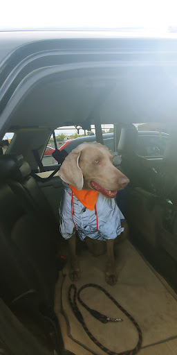 Pet Supply Store «Petco Animal Supplies», reviews and photos, 3320 Stockton Hill Rd, Kingman, AZ 86409, USA