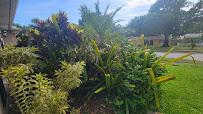 Gardens Earth and Water, LLC - Photo 9 - Car repair in Clearwater, FL, Clearwater
