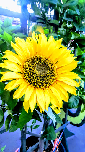 Fairground «Del Mar Fairgrounds», reviews and photos, 2260 Jimmy Durante Blvd, Del Mar, CA 92014, USA