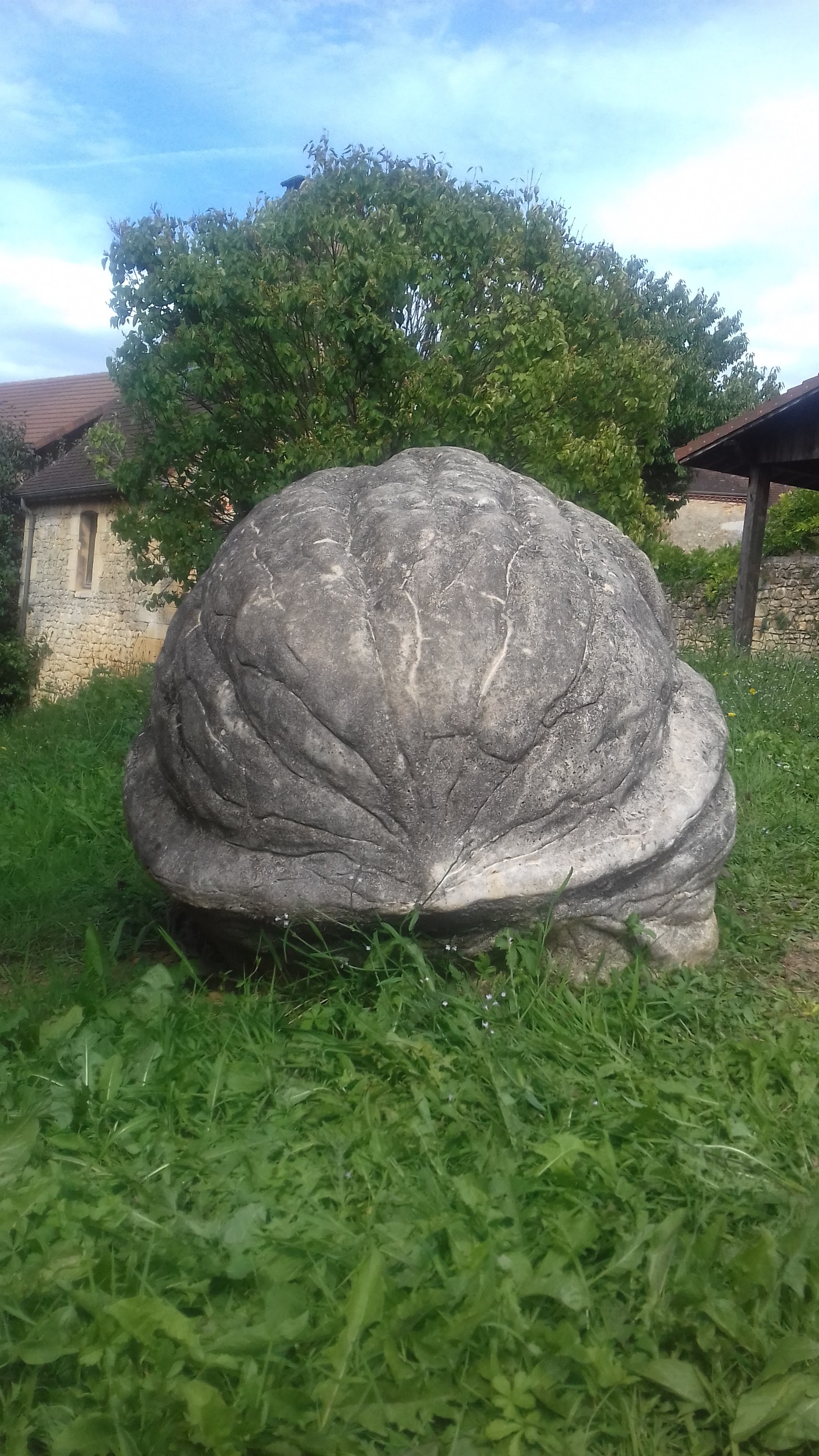 Photo n° 1 de l'avis de Boisseleau.l fait le 19/08/2019 à 16:01