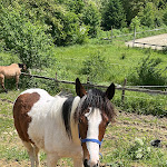 Photo n°4 de l'avis de Chiara.l fait le 07/05/2024 à 06:45 sur le  Ac Ranch à Carentino