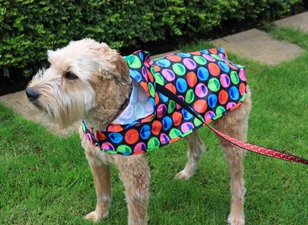 Pet Supply Store «Dog Gone Holistic-SouthShore», reviews and photos, 13131 US-301, Riverview, FL 33578, USA