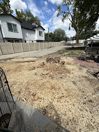 Organic Choice Tree and Lawn Care - Photo 5 - Car repair in , Salt Lake City
