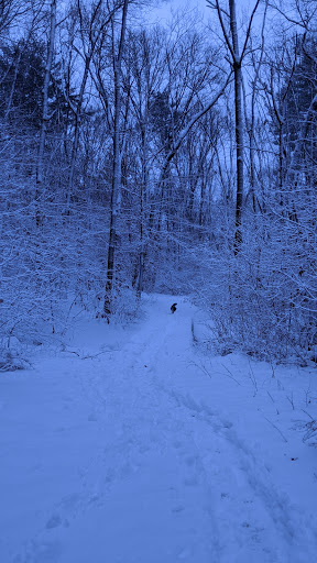 Park «Garfield Park», reviews and photos, Garfield St, Lexington, MA 02421, USA