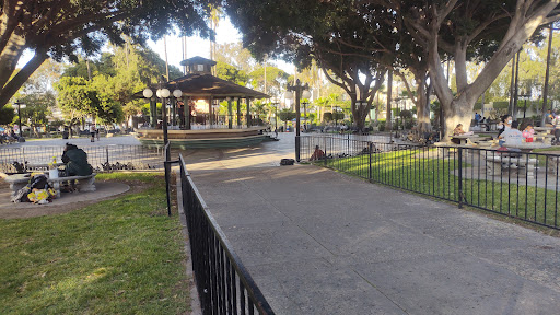 Parque Teniente Guerrero