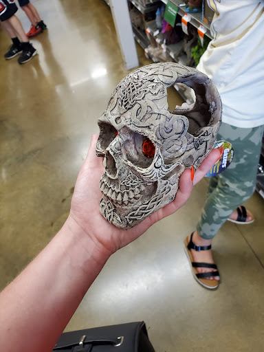 Pet Supply Store «Pet Supplies Plus», reviews and photos, 209 Towne Dr, Elizabethtown, KY 42701, USA