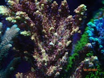 Beautys Ocean - Photo 6 - Car repair in Colorado Springs, CO, Colorado Springs