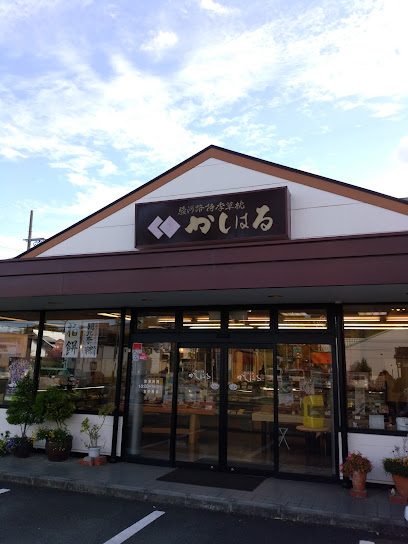 かしはる藤枝店