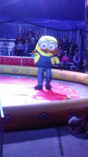 Shopping Mall «Village Square Mall», reviews and photos, 51 village Square Mall, Effingham, IL 62401, USA