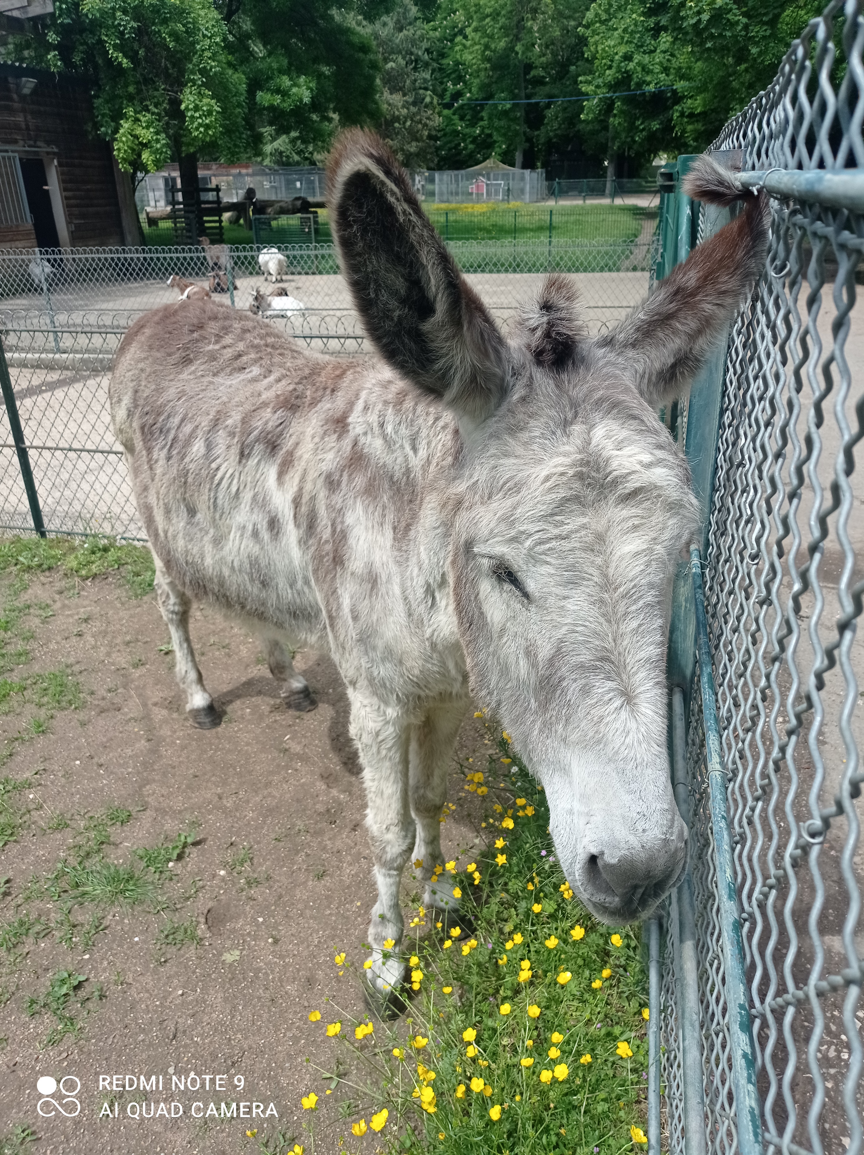Photo n° 2 de l'avis de Virginie.e fait le 02/06/2023 à 12:53