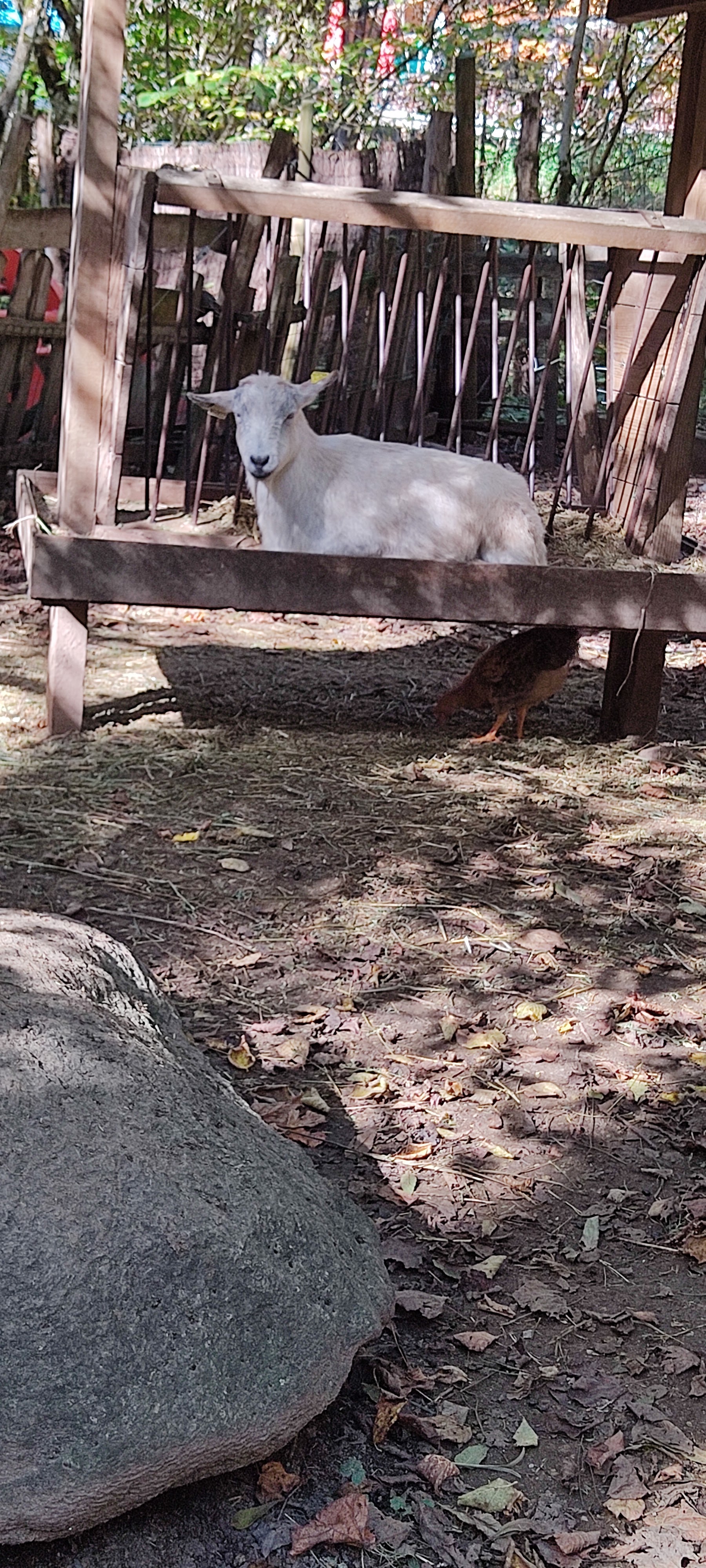 Photo n° 5 de l'avis de Galache.a fait le 27/10/2021 à 15:35