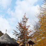 Photo n°1 de l'avis de Irina.h fait le 25/10/2020 à 13:29 sur le  Ristorante Pizzeria - All' Antica Segheria à Carisolo