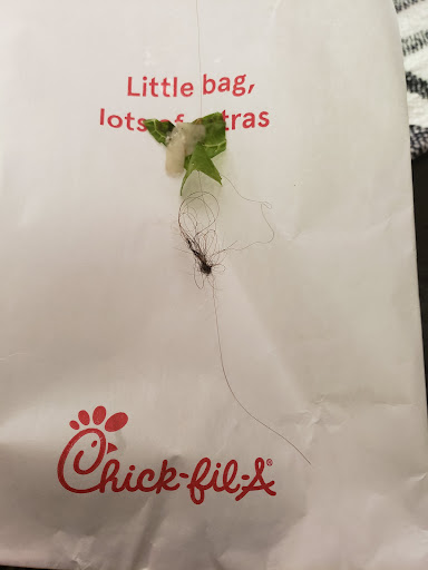 Fast Food Restaurant «Chick-fil-A», reviews and photos, 4925 Outer Loop, Louisville, KY 40219, USA