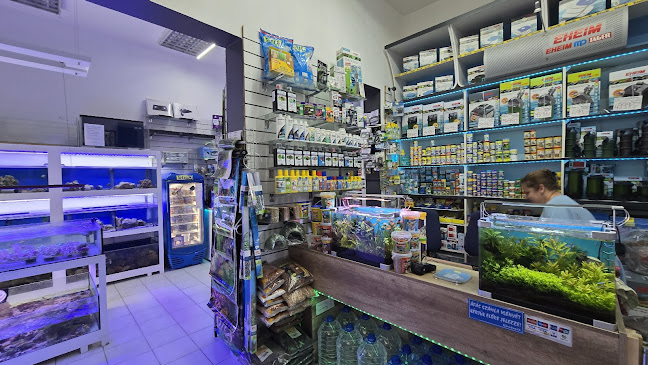 Rekord Akvarisztikai Szaküzlet,Life in the Ocean Kft. - Debrecen