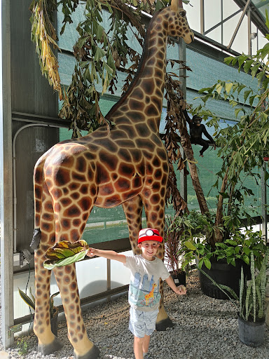 Plant Nursery «Lukas Nursery & Butterfly Encounter», reviews and photos, 1909 Slavia Rd, Oviedo, FL 32765, USA