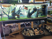 Fins & Filters -Pet Suppliers - Photo 4 - Car repair in Highland Township, MI, South Lyon