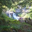 Blackwater Falls State Park