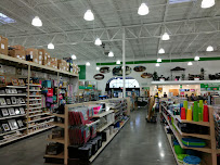 Menards - Photo 9 - Car repair in Rochester, MN, Rochester