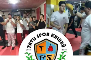 Zeytinburnu Tatlı Spor Kulübü image