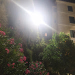 Photo n°2 de l'avis de Luca.i fait le 21/08/2021 à 21:12 sur le  Osteria O' Pizzaiuolo - Le Segrete del '700 à Isernia