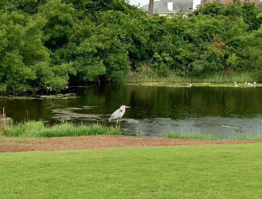 Golf Course «Lost Key Golf Club», reviews and photos, 625 Lost Key Dr, Pensacola, FL 32507, USA