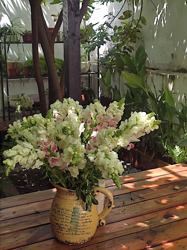 Top 20 quán cafe cho trẻ em Huyện Vĩnh Bảo Hải Phòng 2022