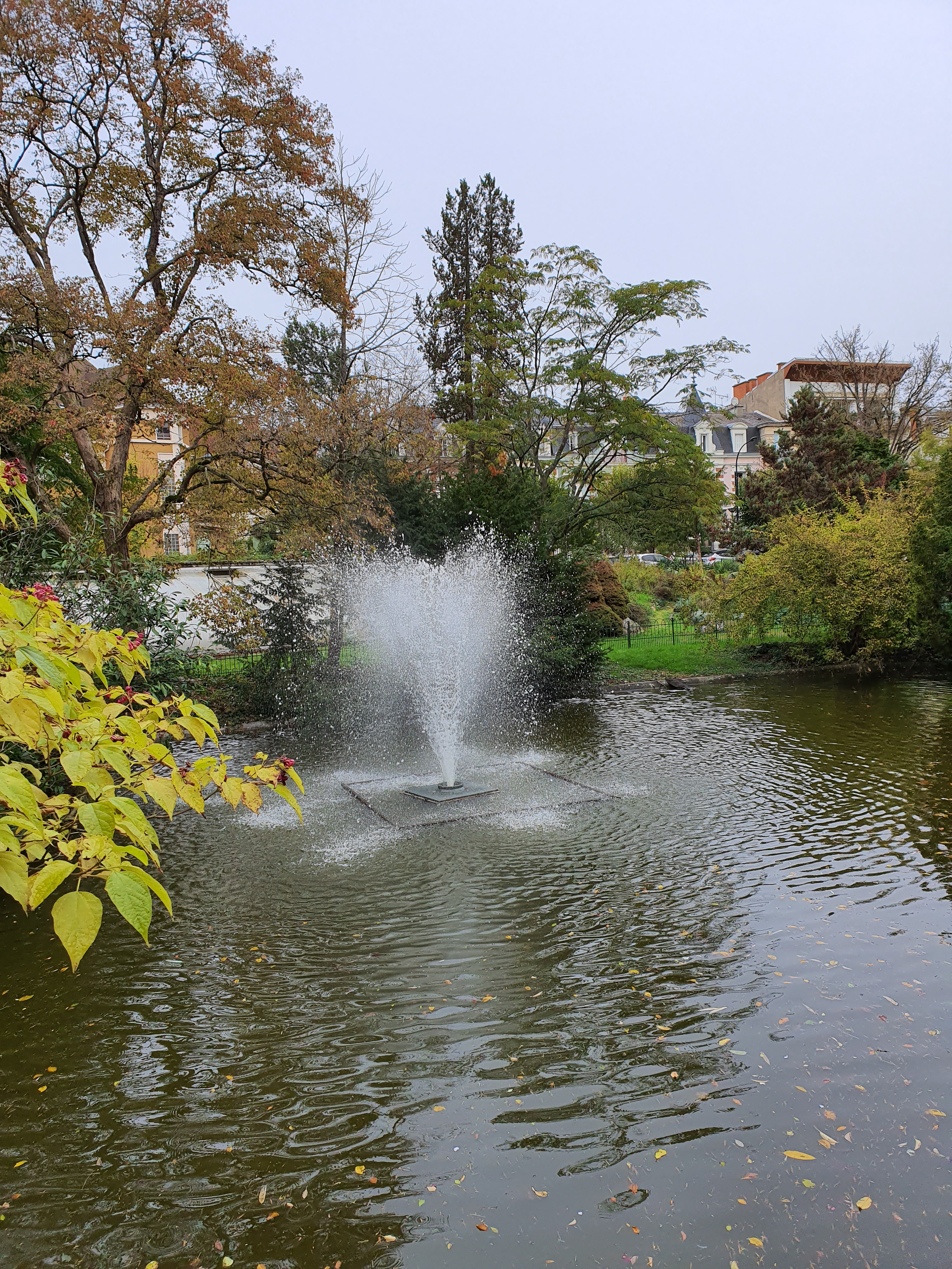 Photo n° 2 de l'avis de Co. fait le 17/11/2019 à 11:29