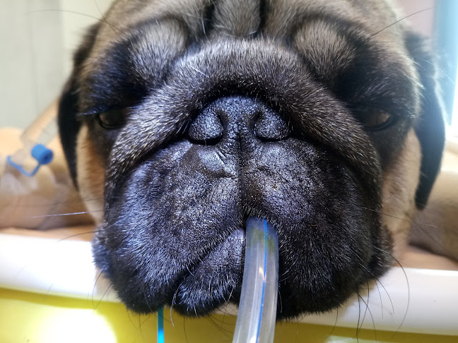 Kwiatów Polskich 2, 20-388 Lublin