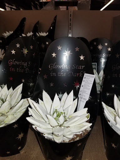 Supermarket «ALDI», reviews and photos, 799 Summit St, Elgin, IL 60120, USA