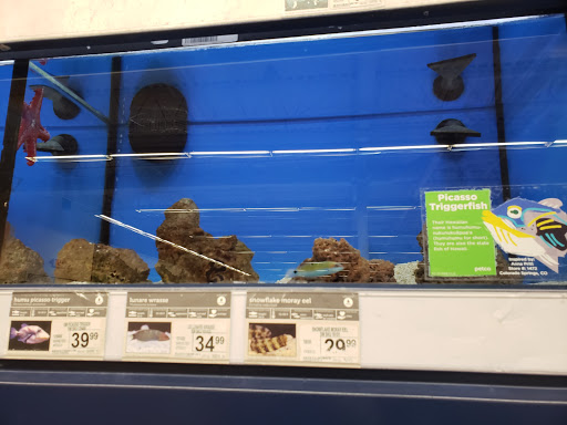 Pet Supply Store «Petco Animal Supplies», reviews and photos, 2131 Pleasant Hill Rd, Duluth, GA 30096, USA